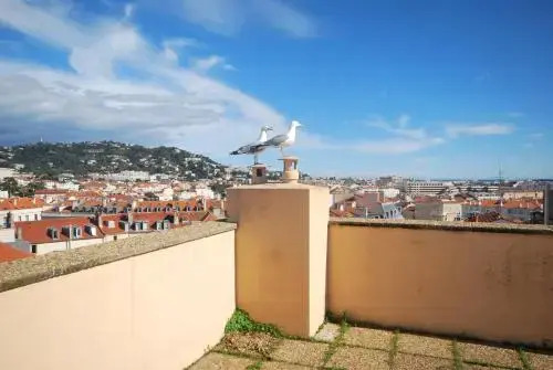 Appartement 1 Chambre Avec Toit Terrasse