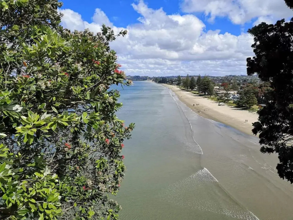 Orewa Lovely Cozy Home