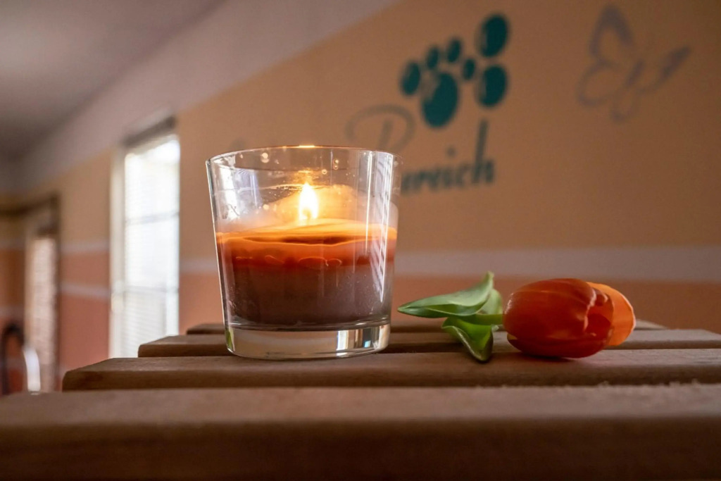 Sporthotel Glück Auf Mönchenfrei