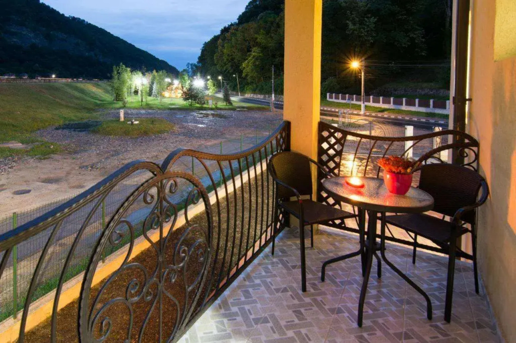 Vila Poienița