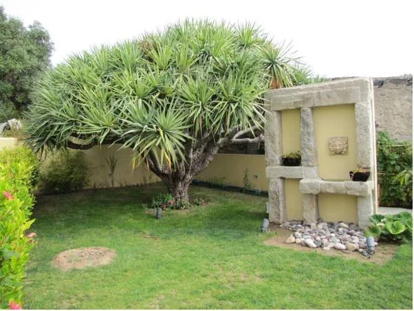 Casa do Velho Dragoeiro