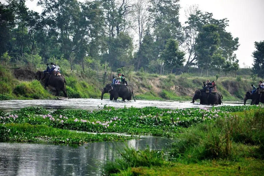 Chitwan Paradise Hotel