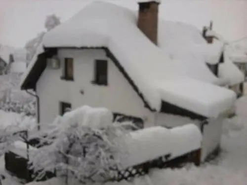 Apartments Ktrenc