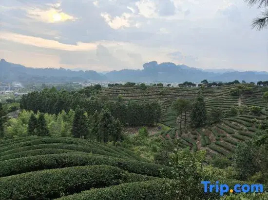 Wuyishan Rongjingshu Hotel