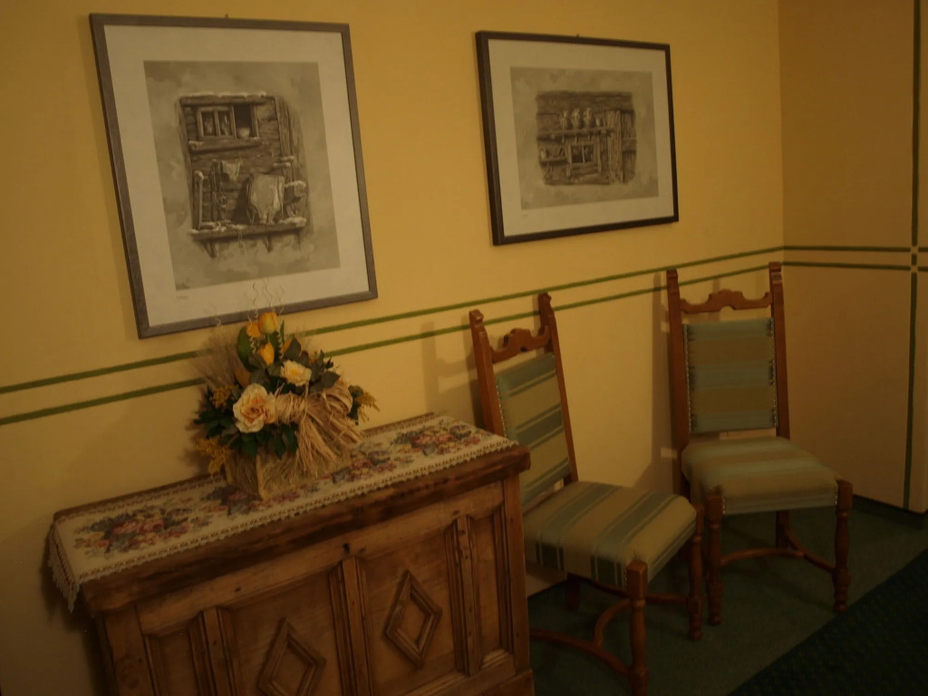 Hotel Alpina