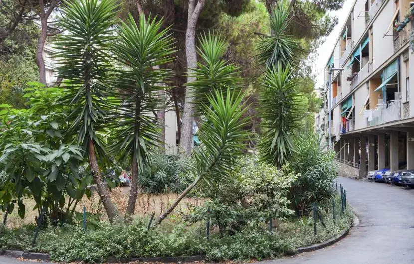 Flat 80M² 2 Bedrooms 1 Bathroom - Genoa