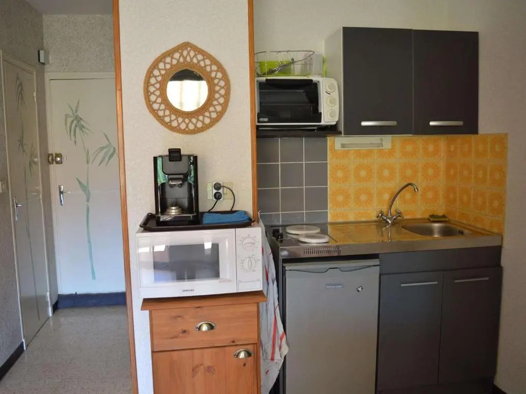 Appartement Argelès-sur-Mer, 1 pièce, 4 personnes - FR-1-225-637