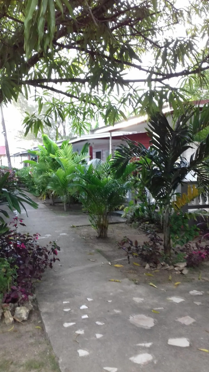 Roots Bamboo Beach Resort