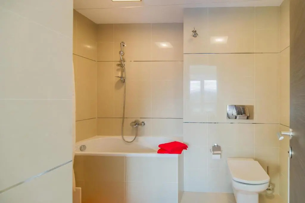 Timber view apartment Silver Mountain Poiana Brasov