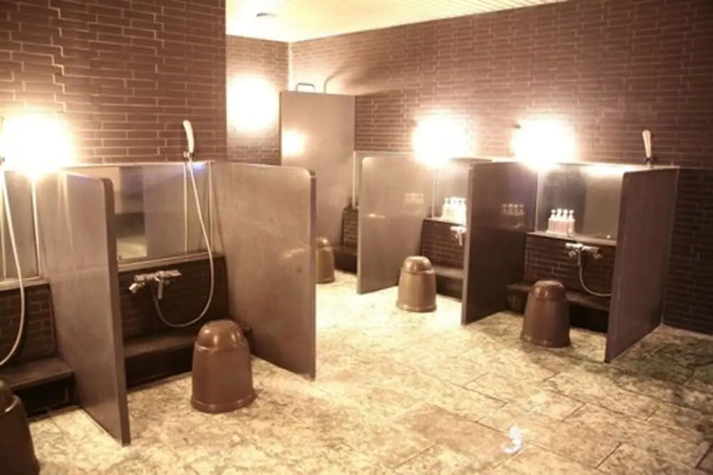 Hotel New Tanaka