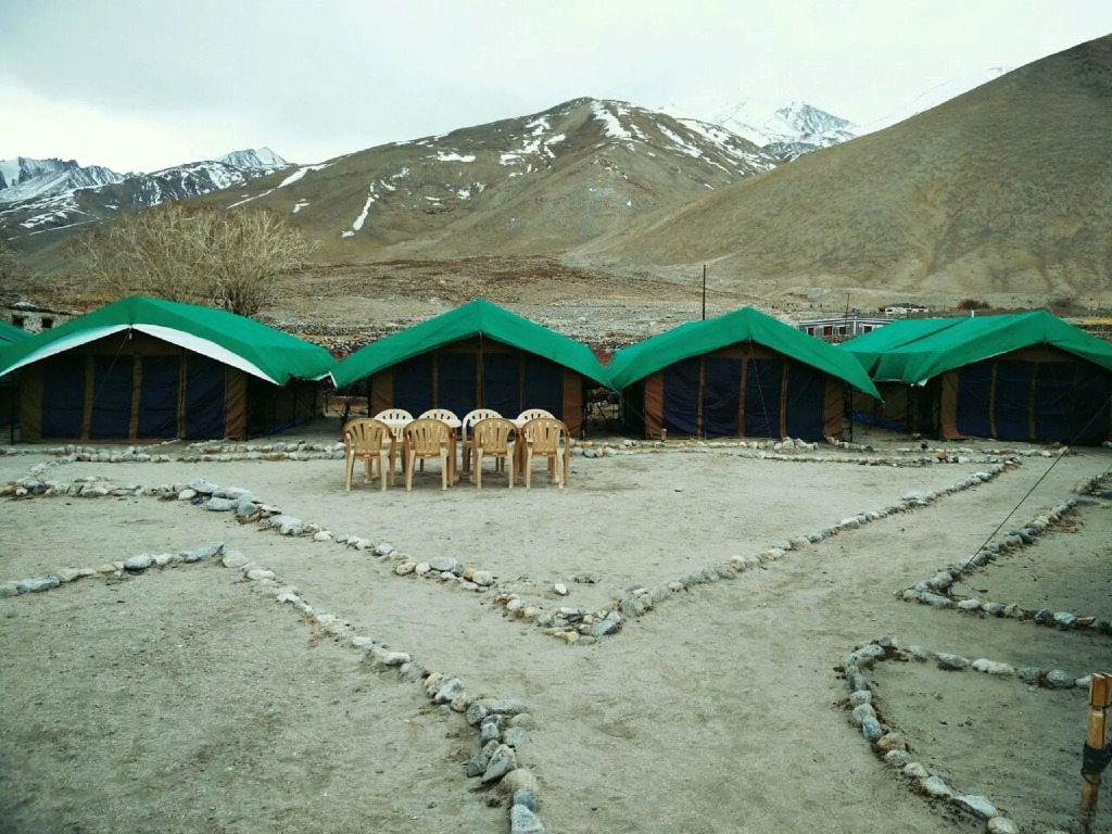 Pangong Delight Camps and Cottages