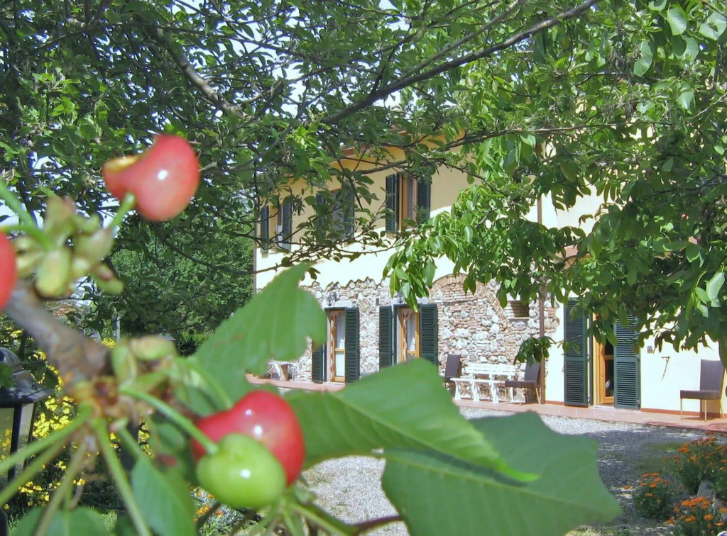 Agriturismo Il Gelso