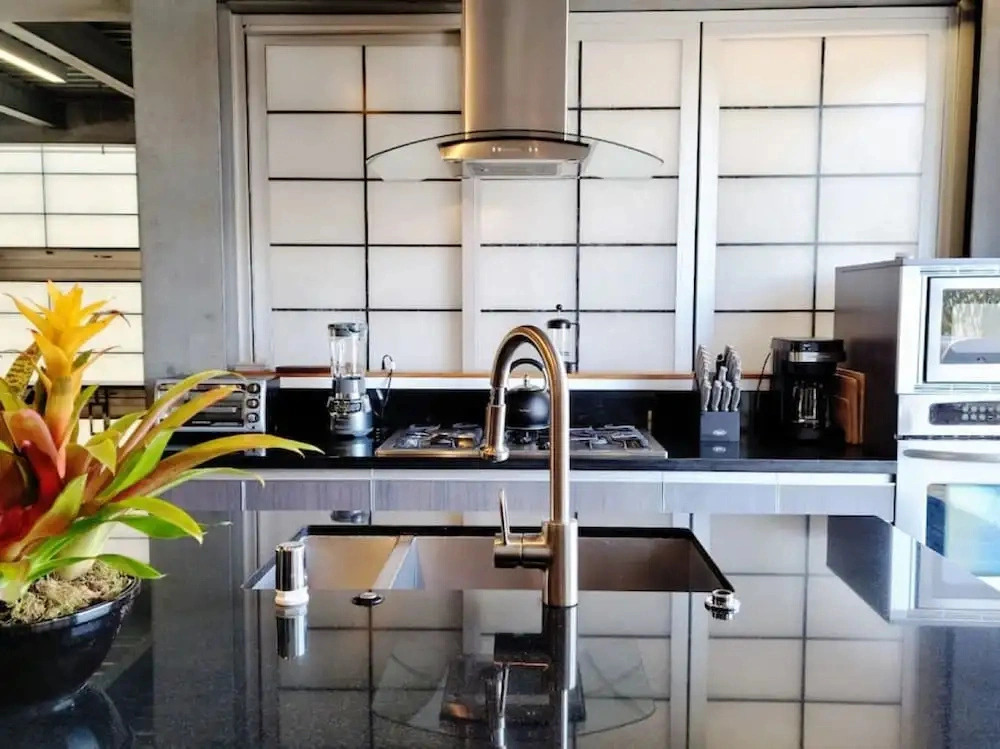 Modern Penthouse in Venice Beach-the Steel Rose