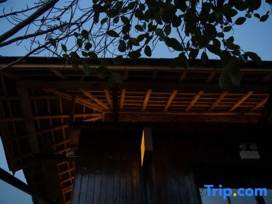 Xishuangbanna Jinghong Suyin Banshan Panoramic Villa B&B
