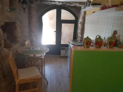 Calypsos Cave the Apartment for Animal Lovers