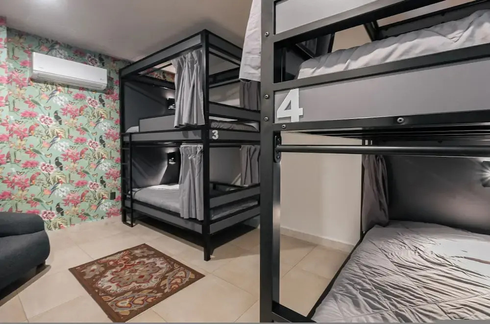 The Tropical Nest Women s Shared Hostel Room top bed 302 3A