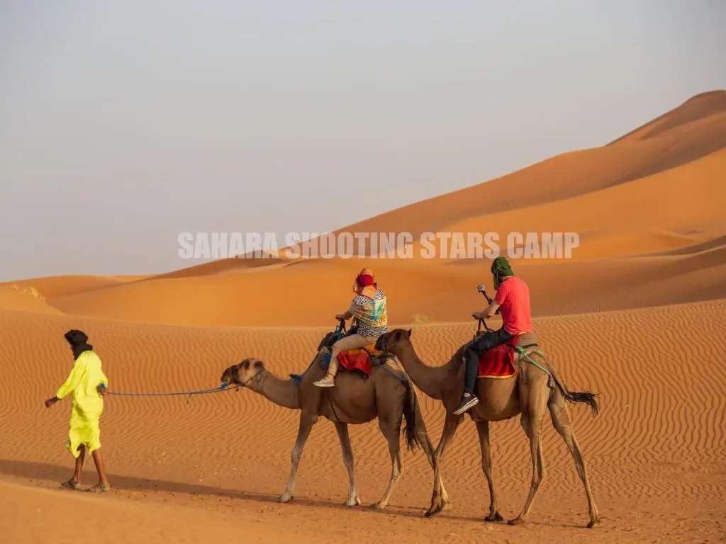 Sahara Shooting Stars Camp