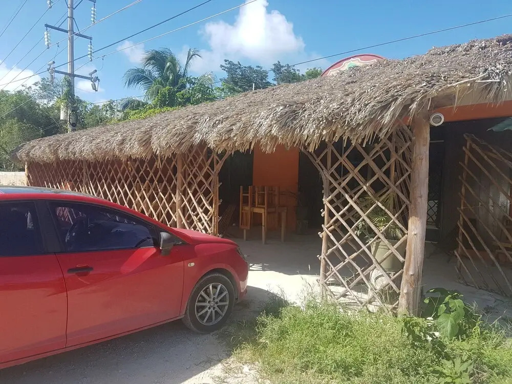 Cedro Tulum
