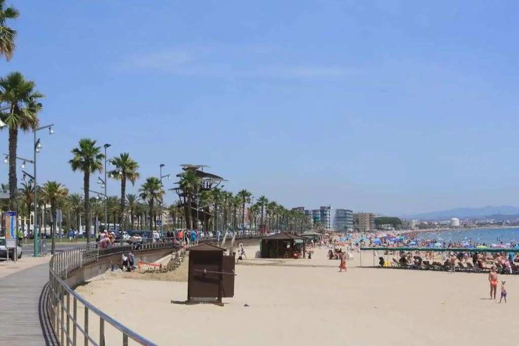 Promar Playa 255