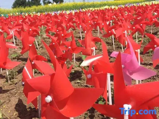 Zhangbei Tianyuan Farm Stay