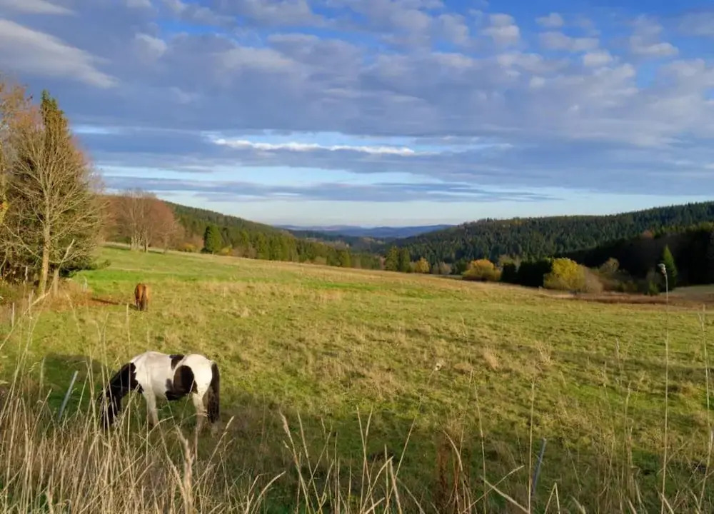 Cozy Holiday Home in Grossbreitenbach near Schwarza Valley