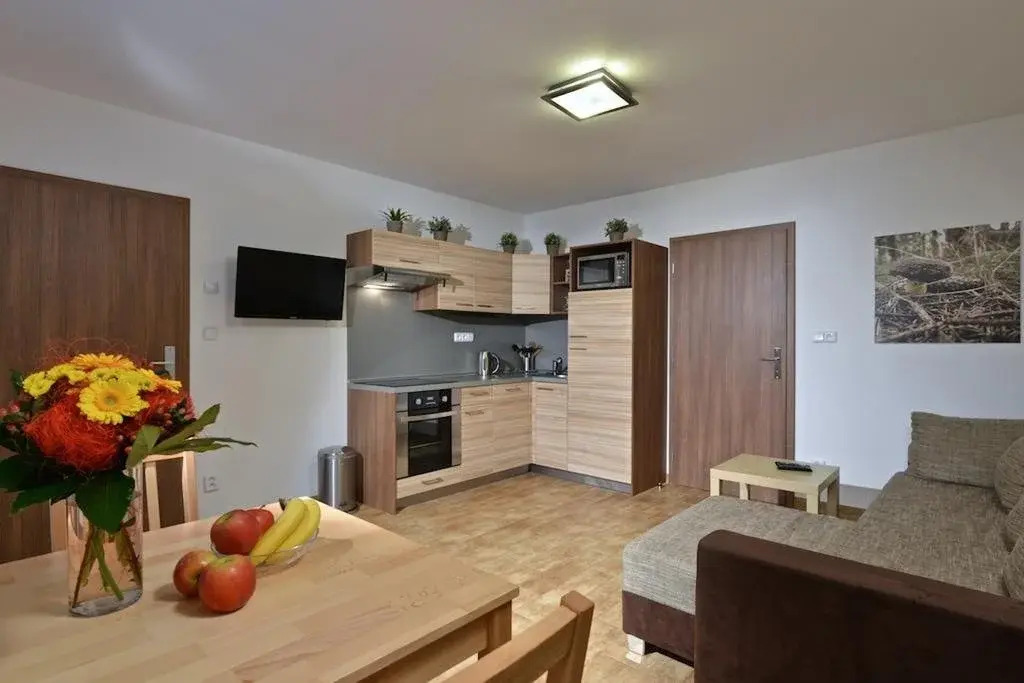 Apartmány 294