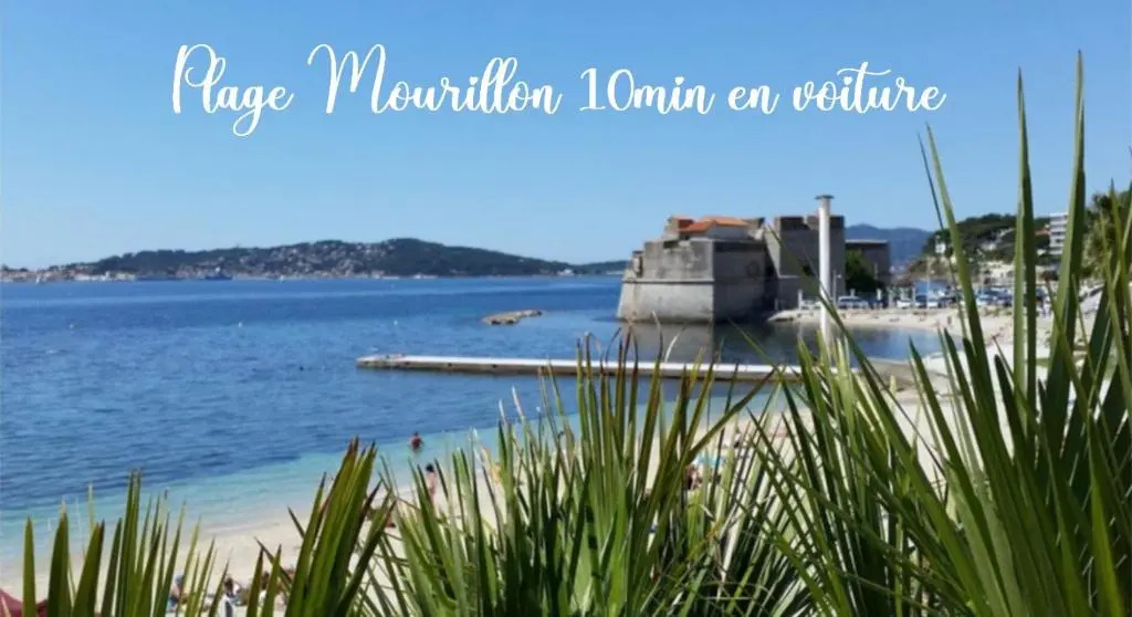 VILLA DALI & Appartements TOULON
