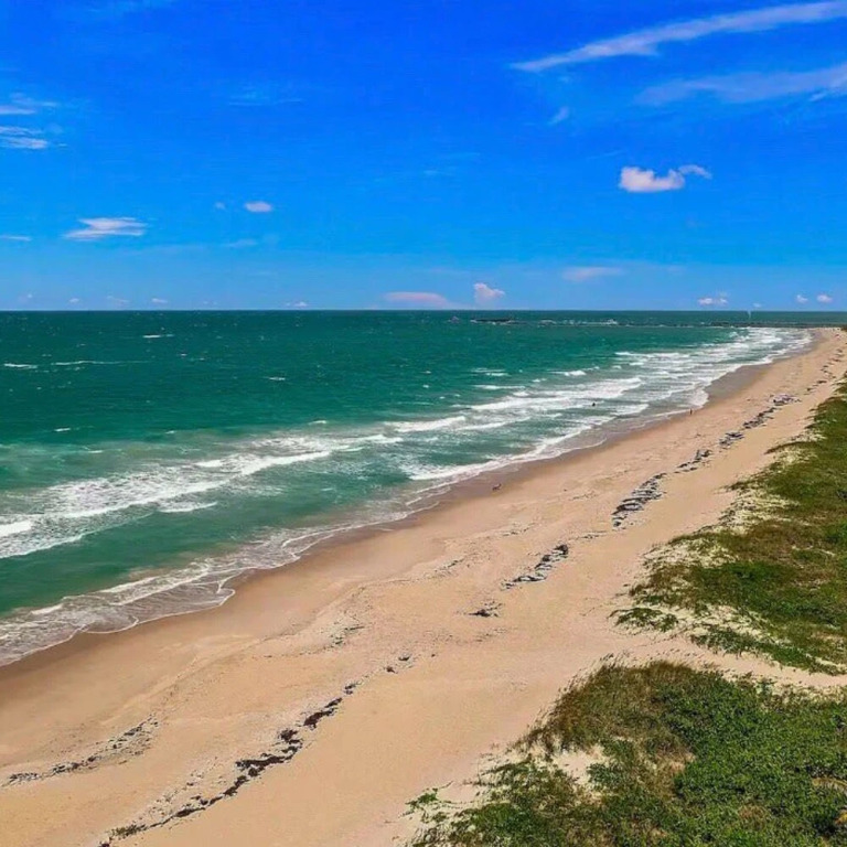 Secluded Beachfront Vibes Surf Pet Friendly