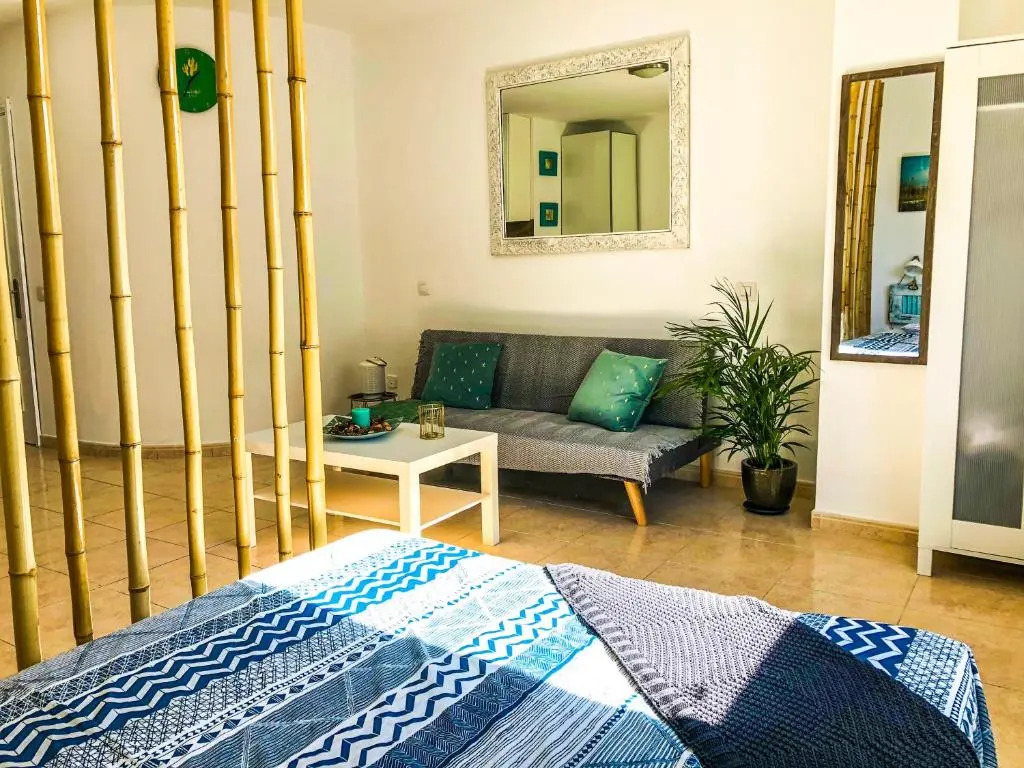 Aloe Studio