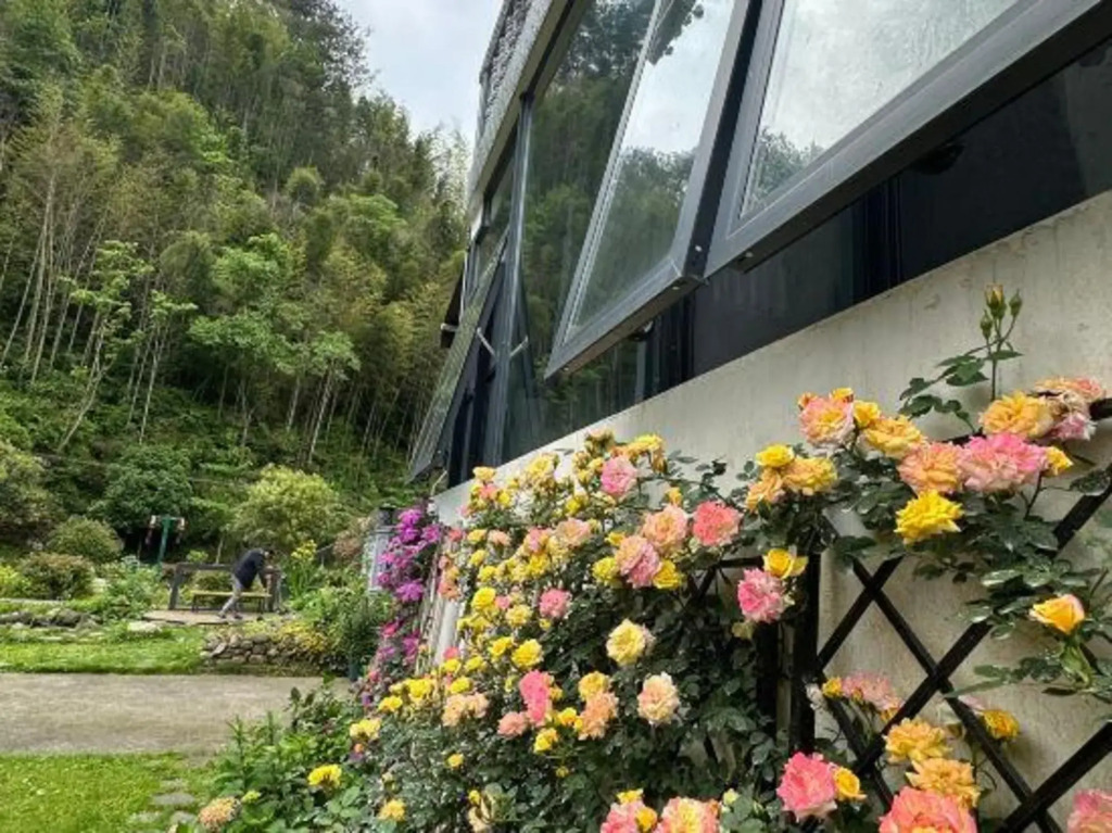 Qishe Hostel