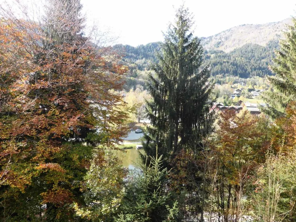 Résidence Le ChÂteau Bruyeres - Studio pour 4 Personnes 32