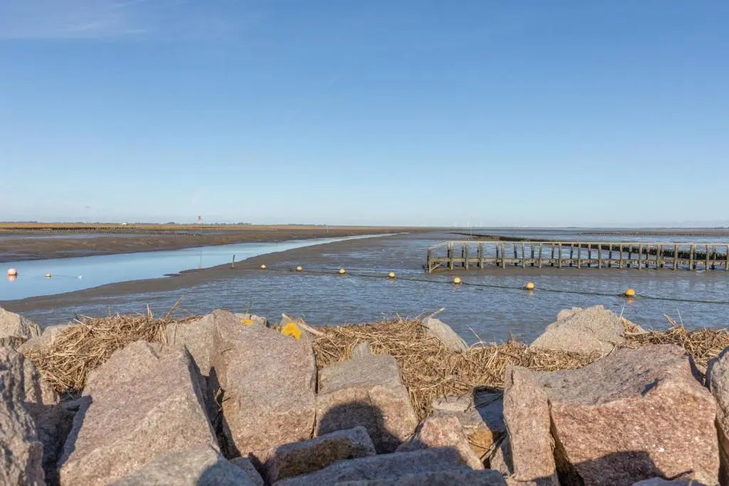 Wattenmeer