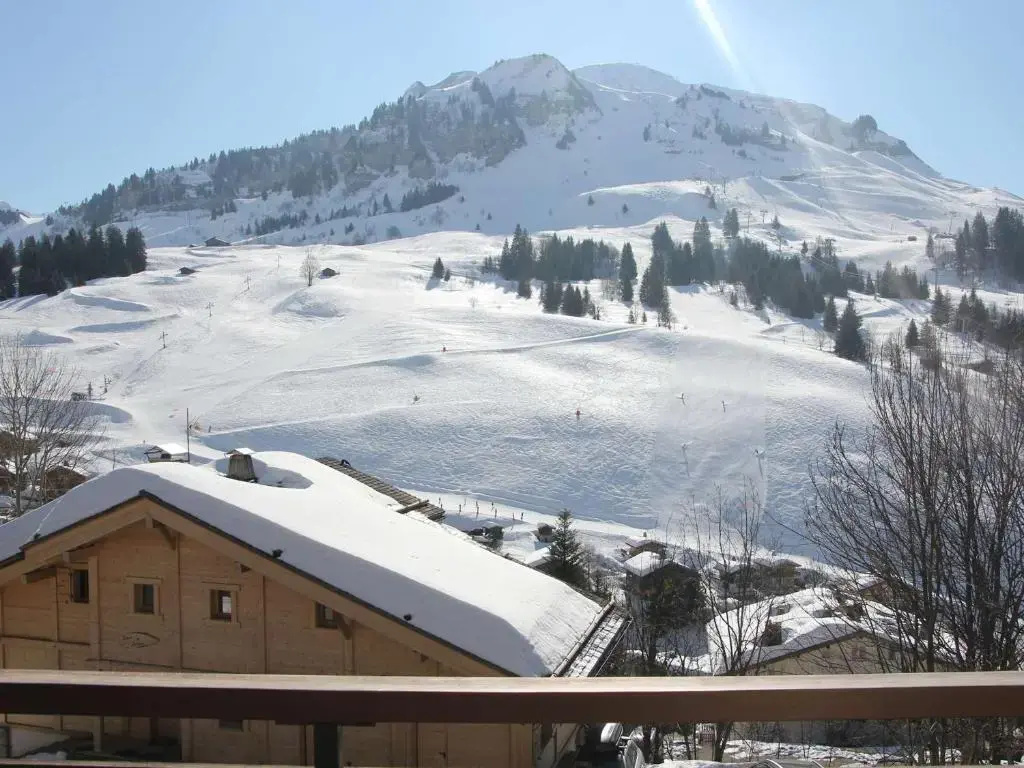 Appartement Le Grand-Bornand, 1 pièce, 4 personnes - FR-1-241-24