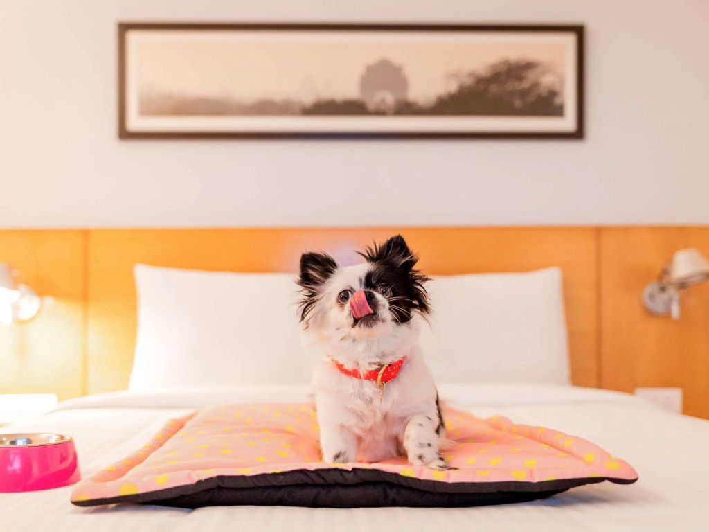 ibis Chennai City Centre - An Accor Brand