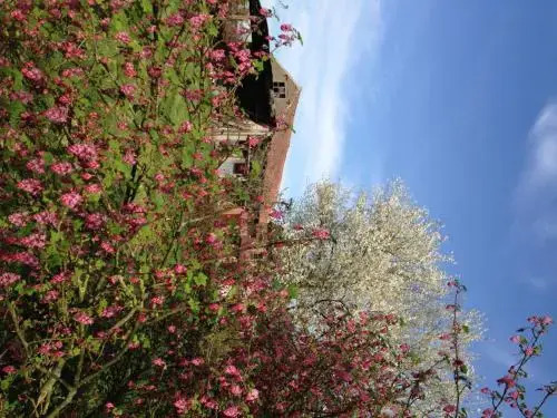 B&B Bekersveld