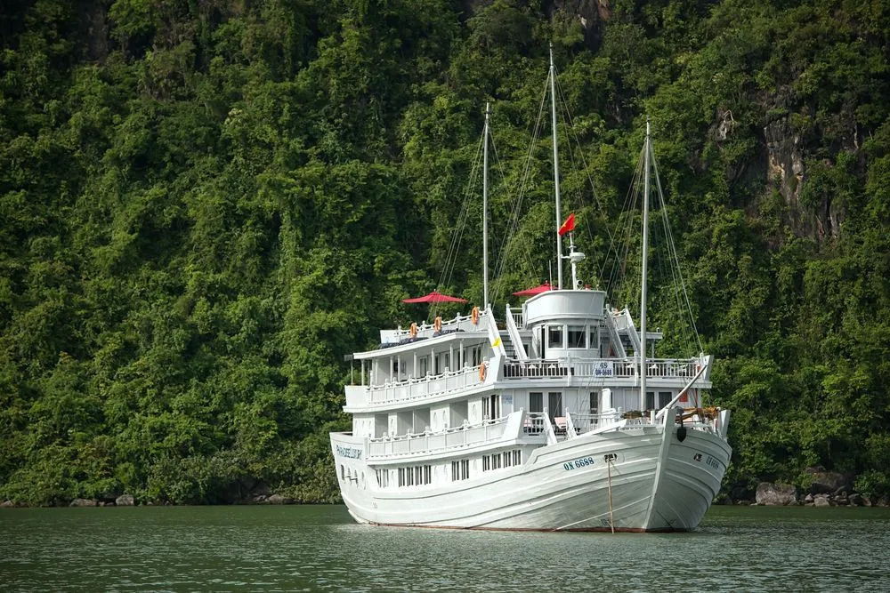 Paradise Sails Cruise