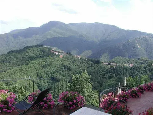 Rustico Sara