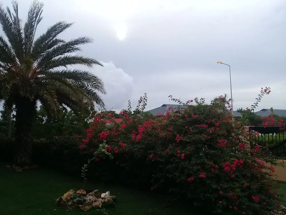 Bouganville B&B