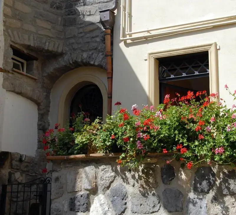 B&B L Agrifoglio