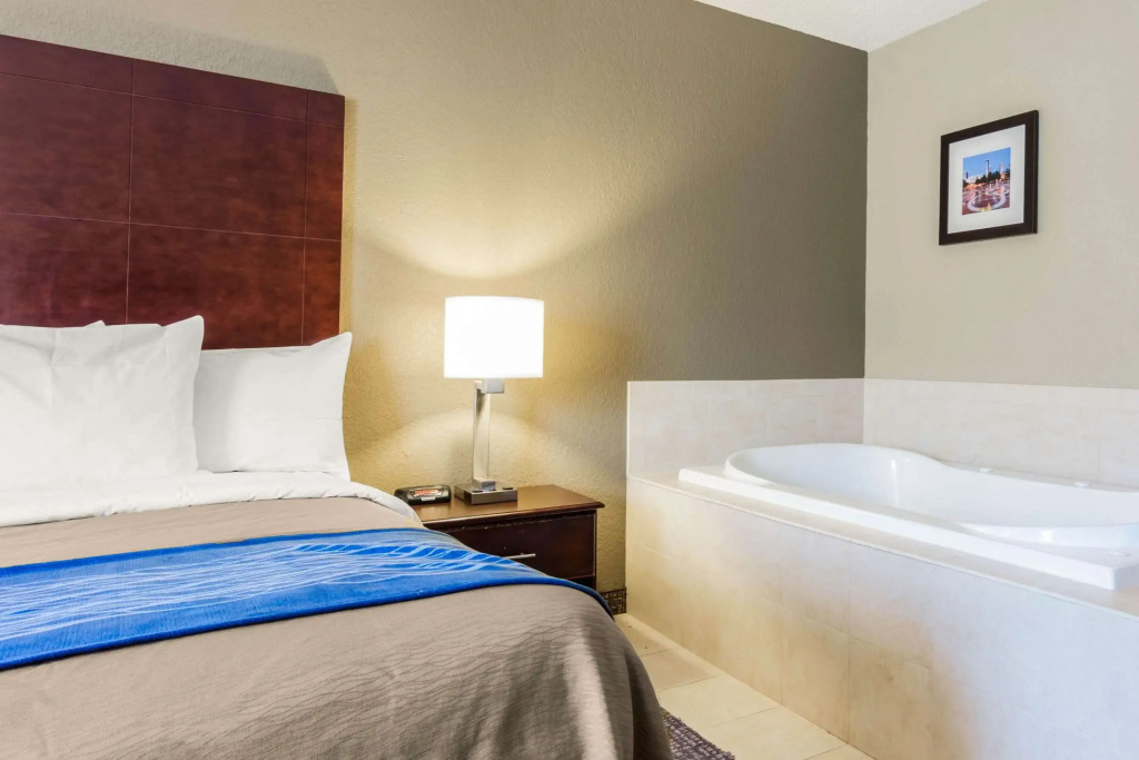 Comfort Inn Atlanta Downtown South