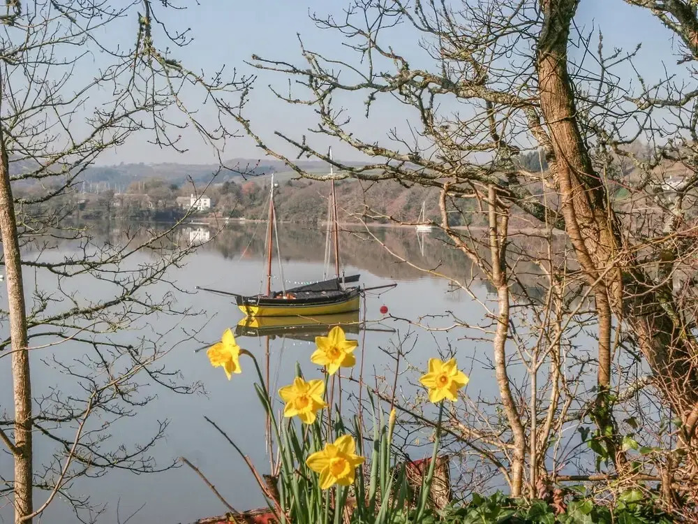 The Daffodil Shed