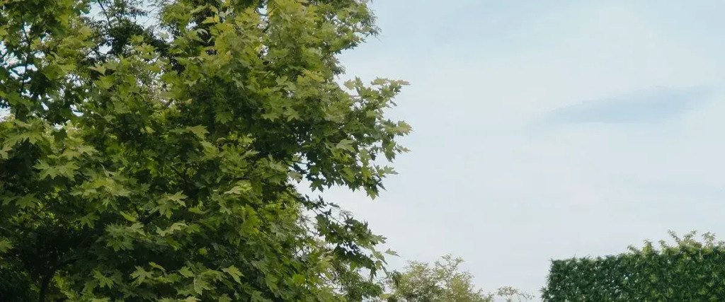Grd Villa Bungalov