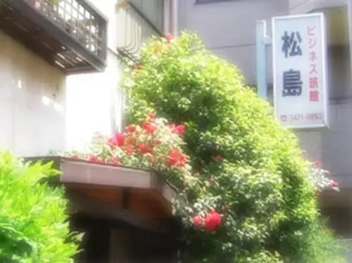 Business Ryokan Matsushima