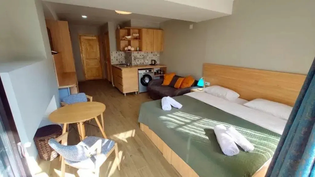 Bakuriani - Didveli 4 Season Apartment