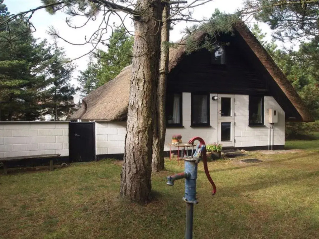 "Aafje" - 1.3km from the sea in Western Jutland
