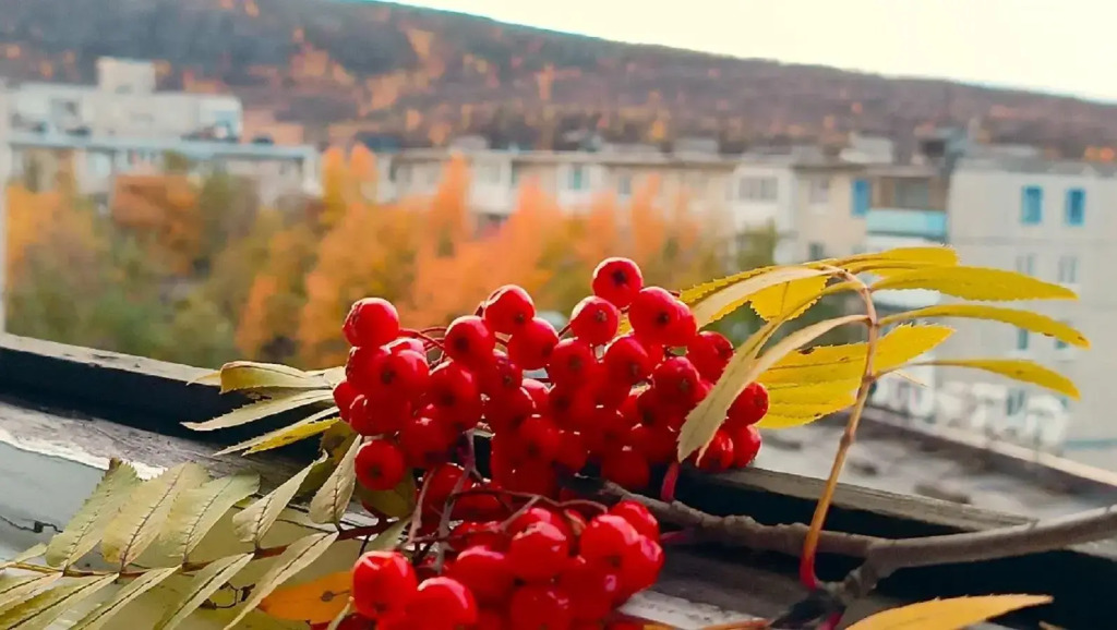 Уютный Север на улице Зои Космодемьянской