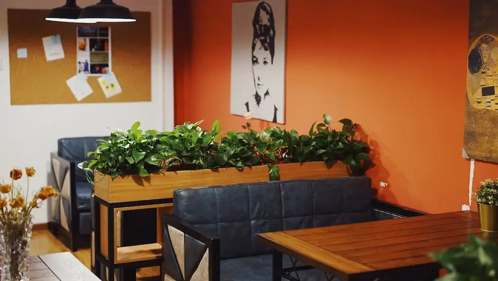 BookWonder Hostel