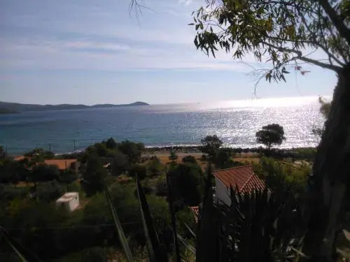 Maviria