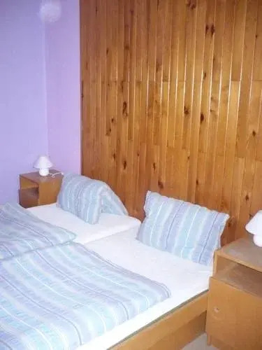 Hotel Orion
