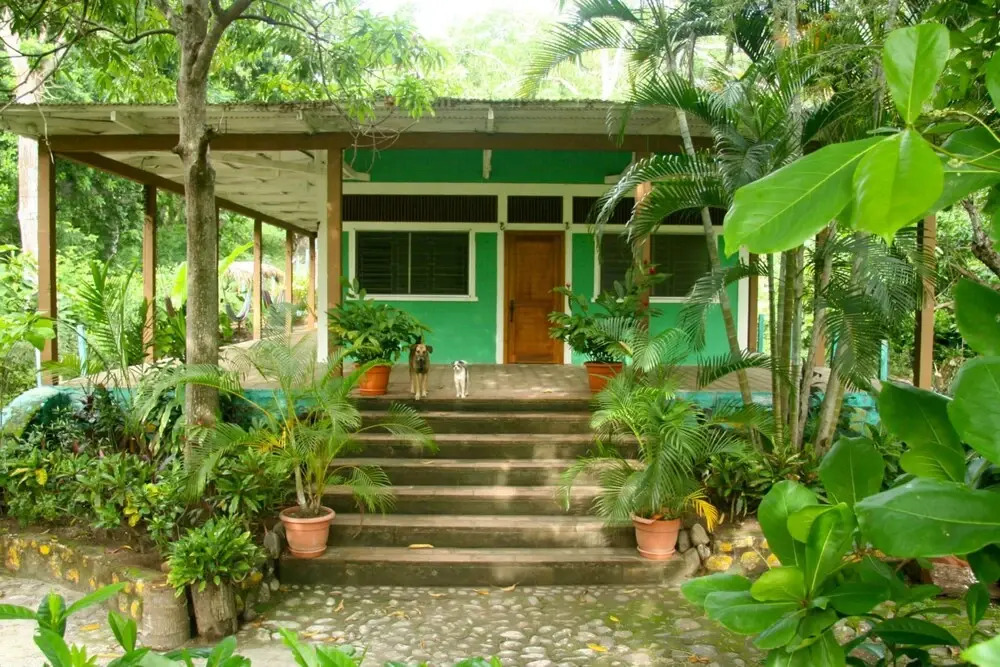 Hammock plantation